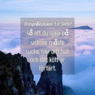 Picture 04 - Ordspråksboken 5:11 SV1917 - så att du själv på sistone måste sucka, när - Bible Verse Picture