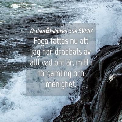 Picture 04 - Ordspråksboken 5:14 SV1917 - Föga fattas nu att jag har drabbats av allt vad - Bible Verse Picture