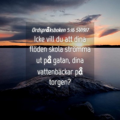 Picture 04 - Ordspråksboken 5:16 SV1917 - Icke vill du att dina flöden skola strömma ut - Bible Verse Picture