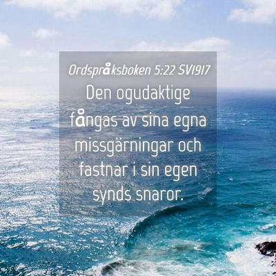 Picture 04 - Ordspråksboken 5:22 SV1917 - Den ogudaktige fångas av sina egna - Bible Verse Picture