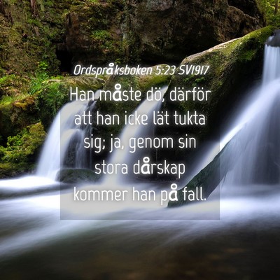Picture 04 - Ordspråksboken 5:23 SV1917 - Han måste dö, därför att han icke lät tukta - Bible Verse Picture