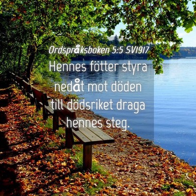 Picture 04 - Ordspråksboken 5:5 SV1917 - Hennes fötter styra nedåt mot döden till - Bible Verse Picture