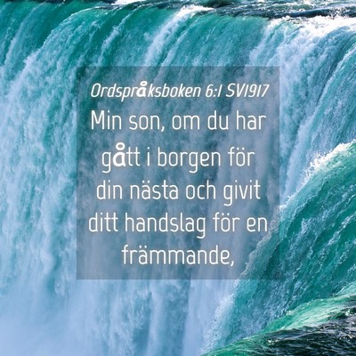 Picture 04 - Ordspråksboken 6:1 SV1917 - Min son, om du har gått i borgen för din nästa - Bible Verse Picture