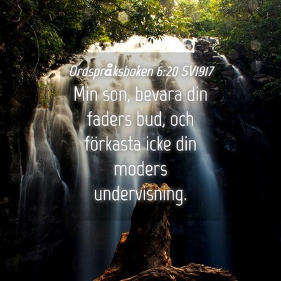 Picture 04 - Ordspråksboken 6:20 SV1917 - Min son, bevara din faders bud, och förkasta - Bible Verse Picture