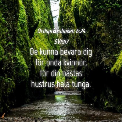 Picture 04 - Ordspråksboken 6:24 SV1917 - De kunna bevara dig för onda kvinnor, för din - Bible Verse Picture