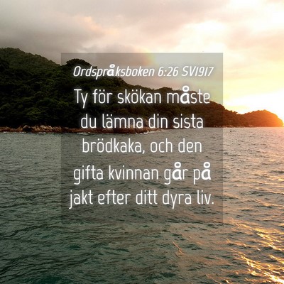 Picture 04 - Ordspråksboken 6:26 SV1917 - Ty för skökan måste du lämna din sista - Bible Verse Picture