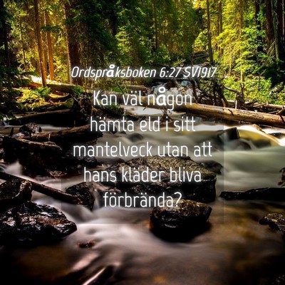 Picture 04 - Ordspråksboken 6:27 SV1917 - Kan väl någon hämta eld i sitt mantelveck utan - Bible Verse Picture