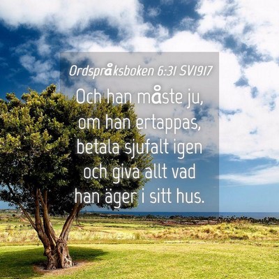 Picture 04 - Ordspråksboken 6:31 SV1917 - Och han måste ju, om han ertappas, betala - Bible Verse Picture