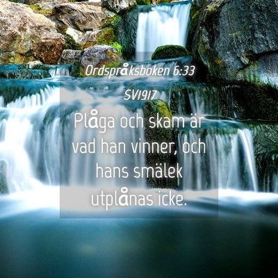 Picture 04 - Ordspråksboken 6:33 SV1917 - Plåga och skam är vad han vinner, och hans - Bible Verse Picture
