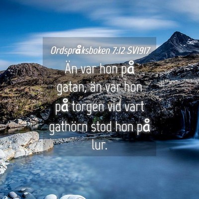 Picture 04 - Ordspråksboken 7:12 SV1917 - Än var hon på gatan, än var hon på torgen vid - Bible Verse Picture