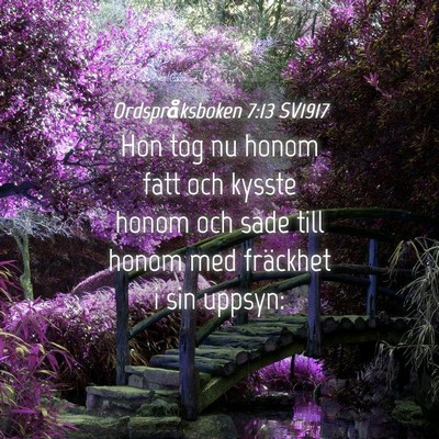 Picture 04 - Ordspråksboken 7:13 SV1917 - Hon tog nu honom fatt och kysste honom och sade - Bible Verse Picture