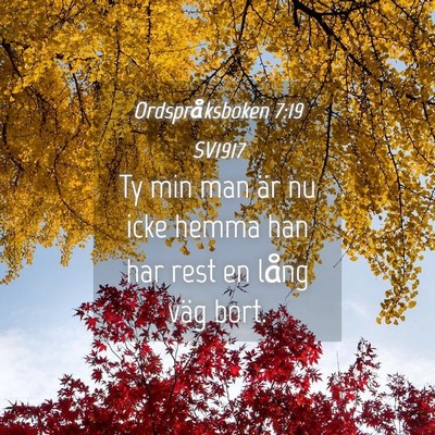Picture 04 - Ordspråksboken 7:19 SV1917 - Ty min man är nu icke hemma han har rest en - Bible Verse Picture