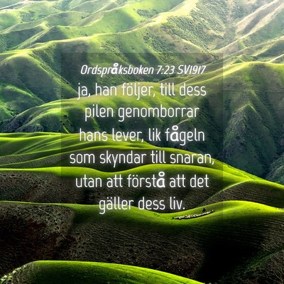 Picture 04 - Ordspråksboken 7:23 SV1917 - ja, han följer, till dess pilen genomborrar hans - Bible Verse Picture
