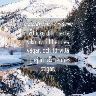Picture 04 - Ordspråksboken 7:25 SV1917 - Låt icke ditt hjärta vika av till hennes - Bible Verse Picture
