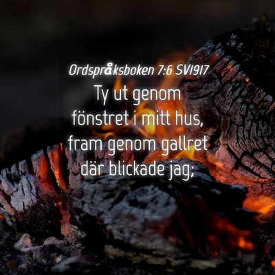Picture 04 - Ordspråksboken 7:6 SV1917 - Ty ut genom fönstret i mitt hus, fram genom - Bible Verse Picture