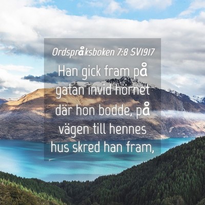Picture 04 - Ordspråksboken 7:8 SV1917 - Han gick fram på gatan invid hörnet där hon - Bible Verse Picture