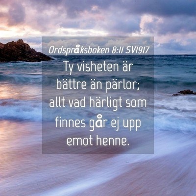 Picture 04 - Ordspråksboken 8:11 SV1917 - Ty visheten är bättre än pärlor; allt vad - Bible Verse Picture