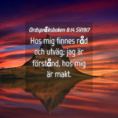 Picture 04 - Ordspråksboken 8:14 SV1917 - Hos mig finnes råd och utväg; jag är - Bible Verse Picture