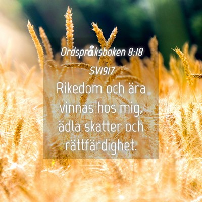 Picture 04 - Ordspråksboken 8:18 SV1917 - Rikedom och ära vinnas hos mig, ädla skatter - Bible Verse Picture