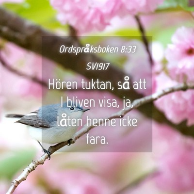Picture 04 - Ordspråksboken 8:33 SV1917 - Hören tuktan, så att I bliven visa, ja, låten - Bible Verse Picture