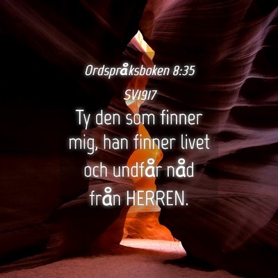 Picture 04 - Ordspråksboken 8:35 SV1917 - Ty den som finner mig, han finner livet och - Bible Verse Picture