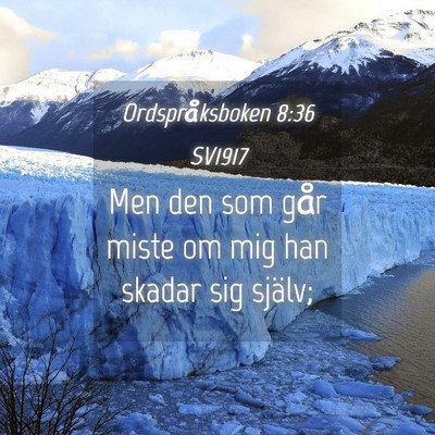 Picture 04 - Ordspråksboken 8:36 SV1917 - Men den som går miste om mig han skadar sig - Bible Verse Picture