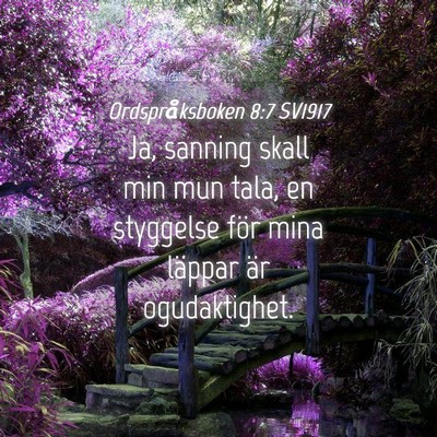 Picture 04 - Ordspråksboken 8:7 SV1917 - Ja, sanning skall min mun tala, en styggelse för - Bible Verse Picture