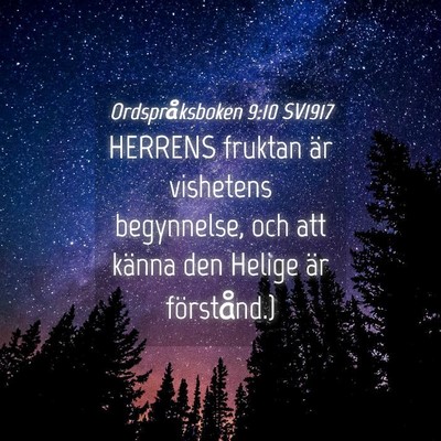 Picture 04 - Ordspråksboken 9:10 SV1917 - HERRENS fruktan är vishetens begynnelse, och att - Bible Verse Picture
