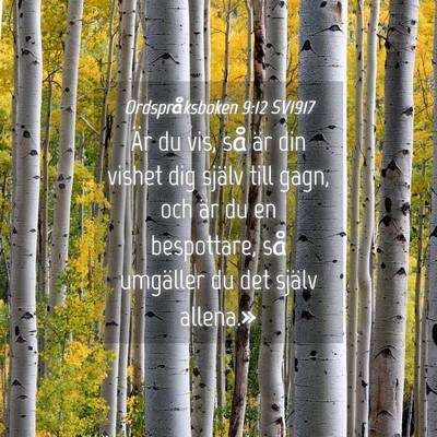 Picture 04 - Ordspråksboken 9:12 SV1917 - Är du vis, så är din vishet dig själv till - Bible Verse Picture