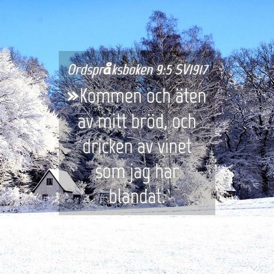 Picture 04 - Ordspråksboken 9:5 SV1917 - »Kommen och äten av mitt bröd, och dricken av - Bible Verse Picture