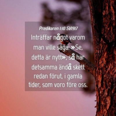 Picture 04 - Predikaren 1:10 SV1917 - Inträffar något varom man ville säga: »Se, - Bible Verse Picture