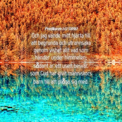 Picture 04 - Predikaren 1:13 SV1917 - Och jag vände mitt hjärta till att begrunda och - Bible Verse Picture