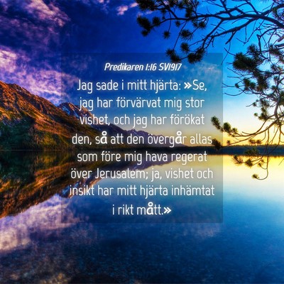 Picture 04 - Predikaren 1:16 SV1917 - Jag sade i mitt hjärta: »Se, jag har - Bible Verse Picture