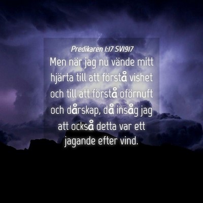Picture 04 - Predikaren 1:17 SV1917 - Men när jag nu vände mitt hjärta till att - Bible Verse Picture