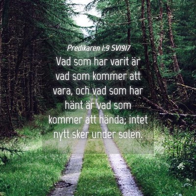Picture 04 - Predikaren 1:9 SV1917 - Vad som har varit är vad som kommer att vara, - Bible Verse Picture