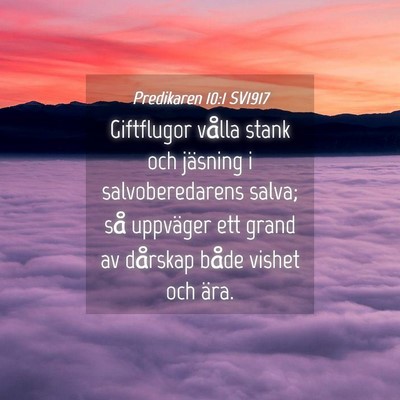 Picture 04 - Predikaren 10:1 SV1917 - Giftflugor vålla stank och jäsning i - Bible Verse Picture