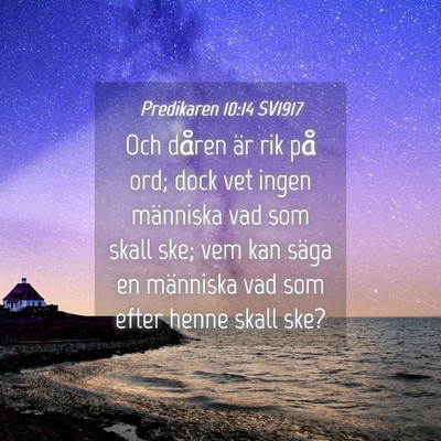 Picture 04 - Predikaren 10:14 SV1917 - Och dåren är rik på ord; dock vet ingen - Bible Verse Picture