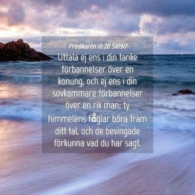 Picture 04 - Predikaren 10:20 SV1917 - Uttala ej ens i din tanke förbannelser över en - Bible Verse Picture