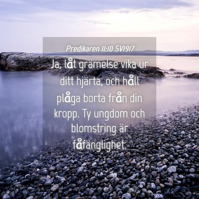 Picture 04 - Predikaren 11:10 SV1917 - Ja, låt grämelse vika ur ditt hjärta, och - Bible Verse Picture