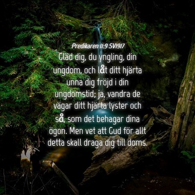 Picture 04 - Predikaren 11:9 SV1917 - Gläd dig, du yngling, din ungdom, och låt ditt - Bible Verse Picture