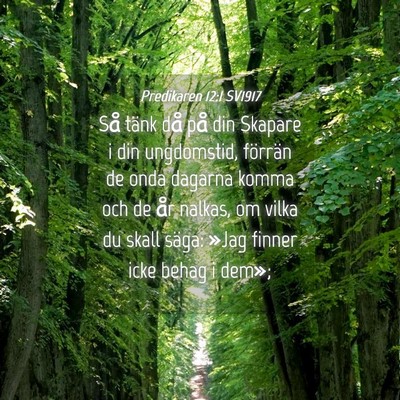 Picture 04 - Predikaren 12:1 SV1917 - Så tänk då på din Skapare i din ungdomstid, - Bible Verse Picture
