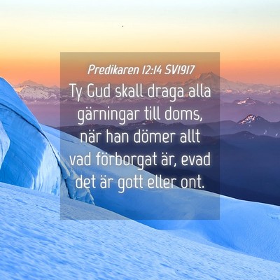Picture 04 - Predikaren 12:14 SV1917 - Ty Gud skall draga alla gärningar till doms, - Bible Verse Picture