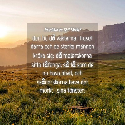 Picture 04 - Predikaren 12:3 SV1917 - den tid då väktarna i huset darra och de starka - Bible Verse Picture