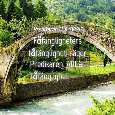 Picture 04 - Predikaren 12:8 SV1917 - Fåfängligheters fåfänglighet! säger - Bible Verse Picture