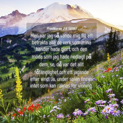 Picture 04 - Predikaren 2:11 SV1917 - Men när jag så vände mig till att betrakta - Bible Verse Picture