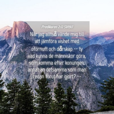 Picture 04 - Predikaren 2:12 SV1917 - När jag alltså vände mig till att jämföra - Bible Verse Picture
