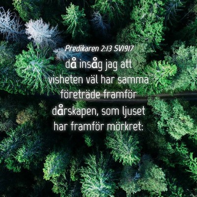 Picture 04 - Predikaren 2:13 SV1917 - då insåg jag att visheten väl har samma - Bible Verse Picture