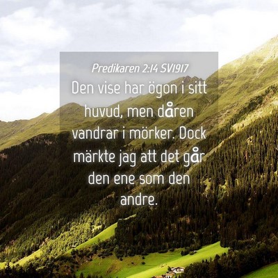 Picture 04 - Predikaren 2:14 SV1917 - Den vise har ögon i sitt huvud, men dåren - Bible Verse Picture