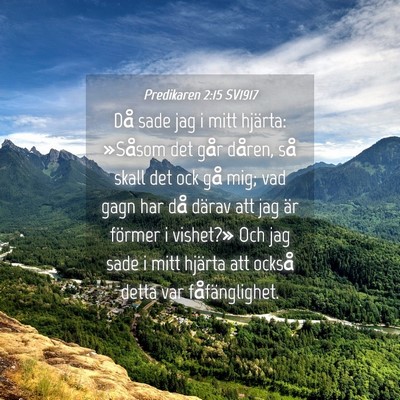 Picture 04 - Predikaren 2:15 SV1917 - Då sade jag i mitt hjärta: »Såsom det går - Bible Verse Picture
