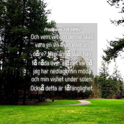 Picture 04 - Predikaren 2:19 SV1917 - Och vem vet om denne skall vara en vis man eller - Bible Verse Picture